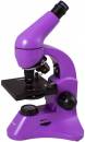 2504-microscope-levenhuk-rainbow-50l-plus-amethyst.jpg